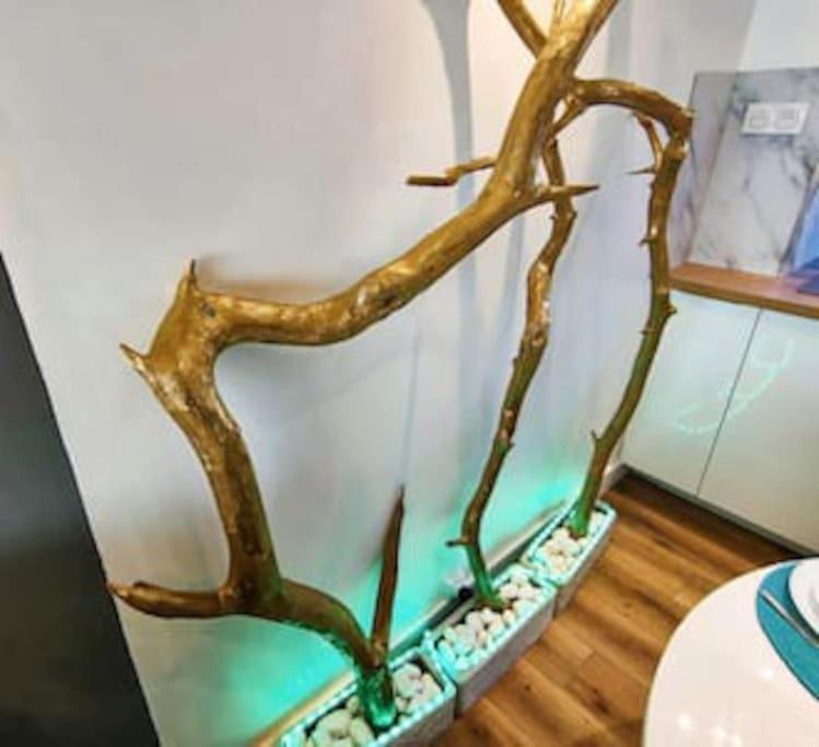 Hamac Face Apartment